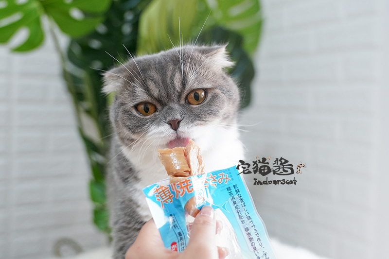 House Cat Sauce Doggy Man Multi-Pig Cat Chicken Food Food Đồ ăn nhẹ Dinh dưỡng Gà nướng Thịt ức 26g bánh thưởng cho mèo