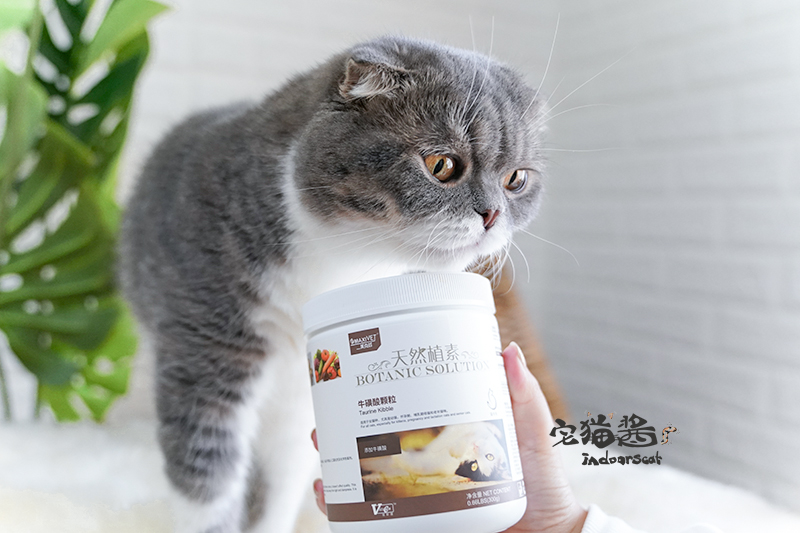 Nước sốt mèo nhà Ăn sáng mắt Sức khỏe dinh dưỡng Viscon Taurine dạng hạt thị lực thúc đẩy 300g - Cat / Dog Health bổ sung sữa cho chó con