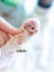 Nước sốt mèo nhà Thú cưng may mắn thú cưng chân mèo chống nứt kem dưỡng ẩm móng vuốt kem dưỡng ẩm có thể được 40g - Cat / Dog Beauty & Cleaning Supplies