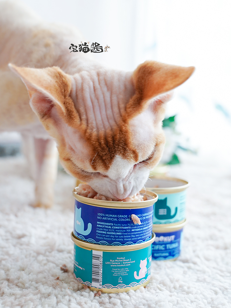 Nước sốt mèo nhà KOOKUT mát mẻ toàn bộ loạt súp súp cá ngừ đóng hộp gà hương vị mèo snack 70g - Đồ ăn nhẹ cho mèo thức ăn của mèo