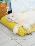 Дом кошачий соус Дака кошка кошка летние холодные коврики глупая подушка для кошки