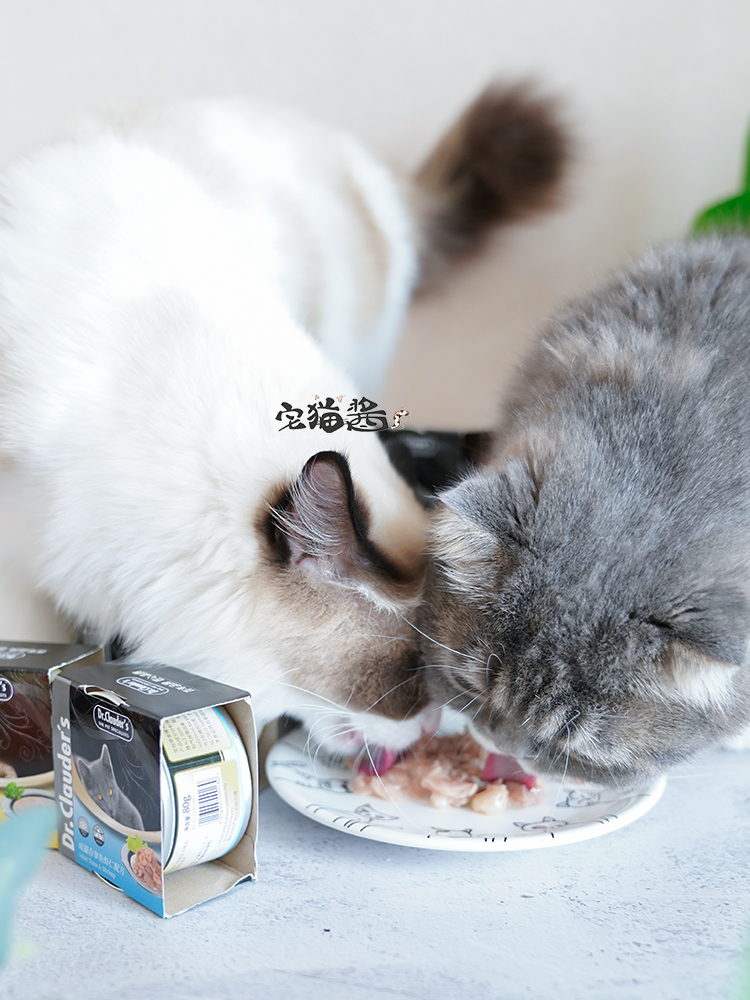 House Cat Sauce Dr.Clauders Claude Doctor thành một con mèo Cat Chicken Salmon Cat Cat Cat đóng hộp 80g - Đồ ăn nhẹ cho mèo hạt mèo catsrang