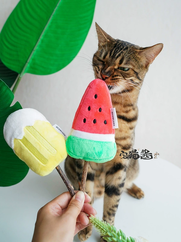 House Cat Sauce Meowcard Ice Cream Dưa hấu Gỗ Tian Li Cat Molar Cat Mint Interactive Funny Cat Cat Toy - Mèo / Chó Đồ chơi