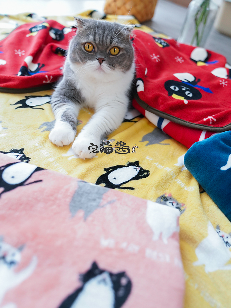 Nhà mèo nước sốt chủ và nô lệ mềm flannel mèo mô hình phim hoạt hình mat chăn mèo xả pad ngủ thảm - Cat / Dog hàng ngày Neccessities 	bát ăn nghiêng cho mèo	