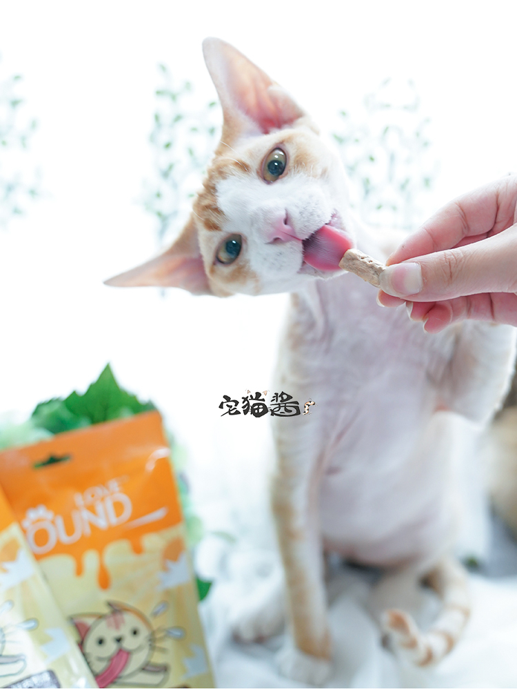 Nước sốt mèo nhà Tình yêu thú cưng khối đông khô nguyên thịt thịt mèo ăn nhẹ Gà khô thưởng thức ăn nhẹ 30g - Đồ ăn nhẹ cho mèo mua thuc an cho meo