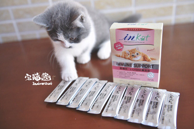 Nước sốt mèo nhà, mực của Med, mũi, mèo, sức khỏe, cảm lạnh, mũi, hắt hơi, nước mắt, lysine - Cat / Dog Health bổ sung sữa cho mèo con mới sinh