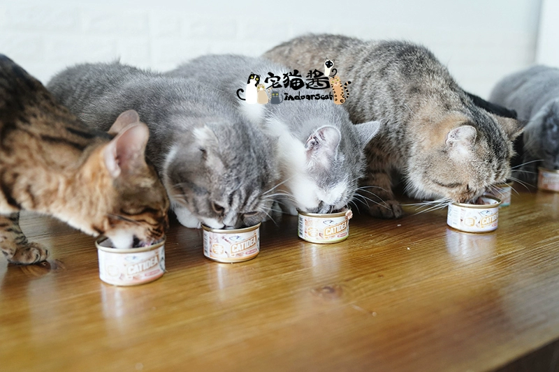 House Cat Sauce Cat Le Shi Cat Đóng hộp Sáu hương vị Cat Snacks Wet Grain Jar Big Block Hải sản Thưởng thức 6x85g - Đồ ăn nhẹ cho mèo