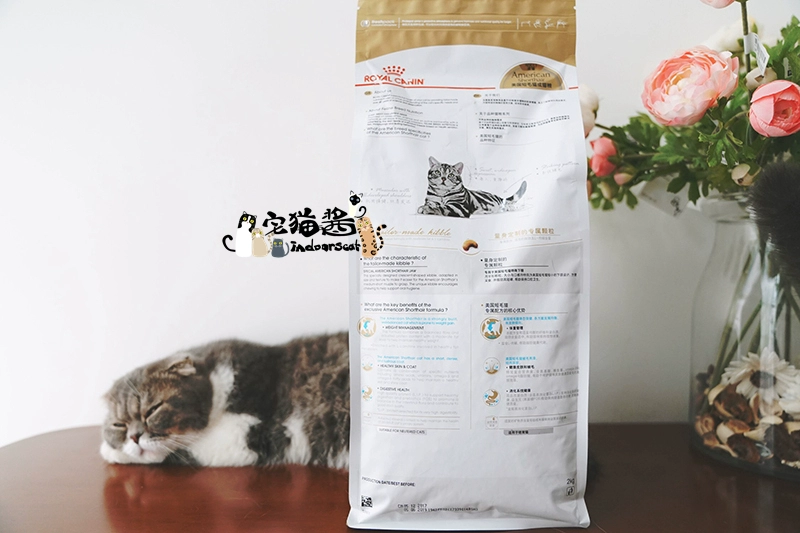 House Cat Sauce Royal Canin Royal Cat Food Beauty Short Cat Food ASA31 Shorthair Cat Main Food 2kg - Cat Staples