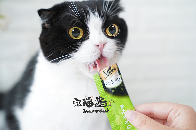 House Cat Sauce Xibao Delicious Foreal Meal Sheba Cat Wet Food Mud Muds Wonderful Fresh Fresh Cat Food Food - Đồ ăn nhẹ cho mèo Các loại pate cho mèo