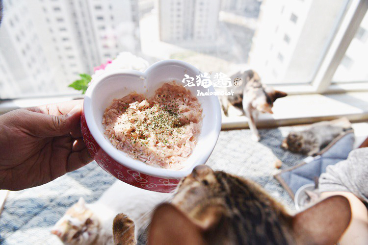 Nhà mèo nước sốt pidan catnip 2.5 gam chất lượng cao loại trừ tóc bóng làm sạch bằng miệng mèo cỏ mèo mèo snack hạt mèo royal canin