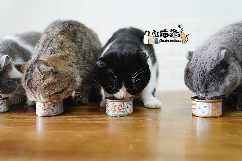 House Cat Sauce Cat Le Shi Cat Đóng hộp Sáu hương vị Cat Snacks Wet Grain Jar Big Block Hải sản Thưởng thức 6x85g - Đồ ăn nhẹ cho mèo