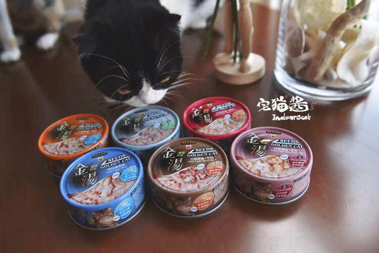 Nước sốt mèo nhà, cháo chức năng sức khỏe, súp vàng nhỏ mèo đóng hộp mèo ướt thức ăn cho mèo ăn nhẹ 80g × 6 lon - Đồ ăn nhẹ cho mèo làm đồ ăn cho mèo