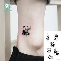 Rocooart Animal Waterproof Temporary Tattoo Sticker