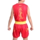 Sanda Clothing Set-Golden Dragon-Red