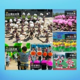 La La Flower Ball La La La La La La La, показывающий цветочный плеер с цветочным танцем La La La La La La La, показывающий ручку цветок