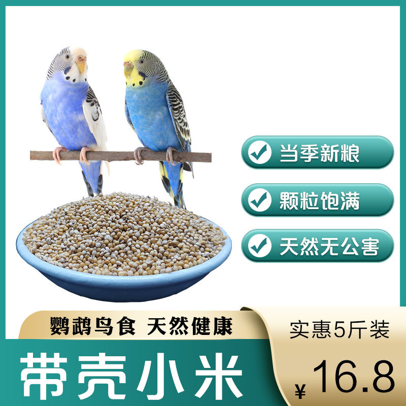 Meng Naughty Tiger Skin Phoenix With Shell Millet New Huanggu Zi Peony Parrot Bird Food Wenbird Grain Jade Bird Feed