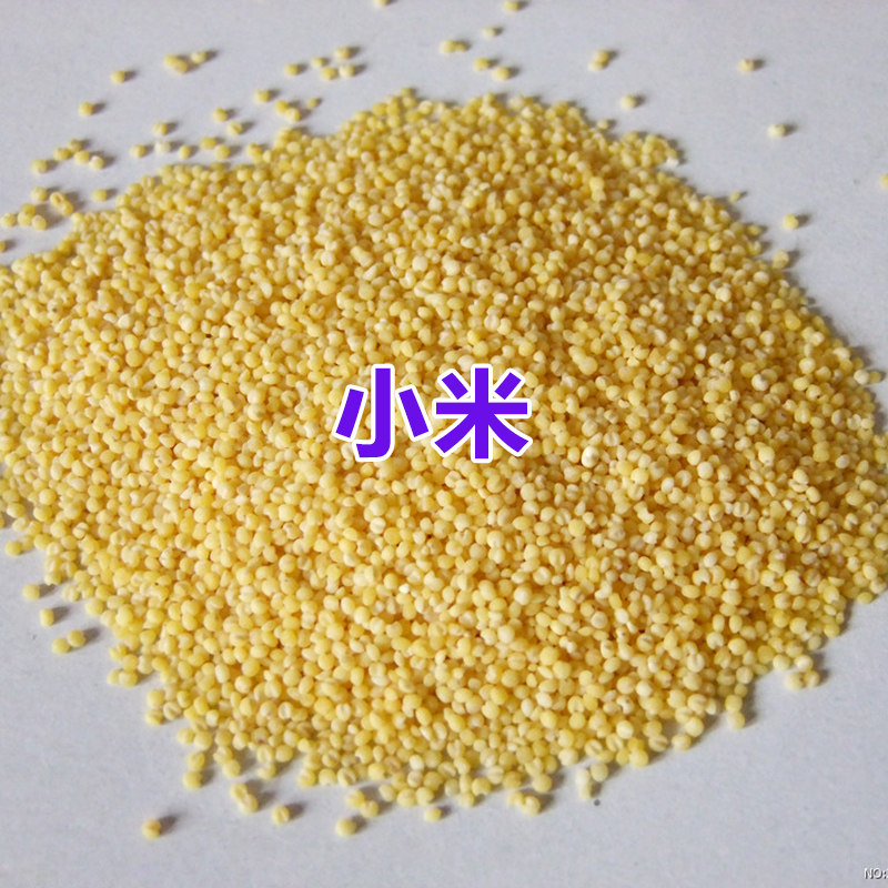 Shell-less millet millet pearl bird tiger leather parrot bird food and bird feed egg millet raw material 500g