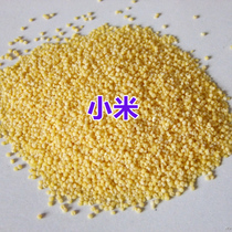 Shell-free millet pearl bird tiger skin parrot bird food bird feed egg millet raw material 500g
