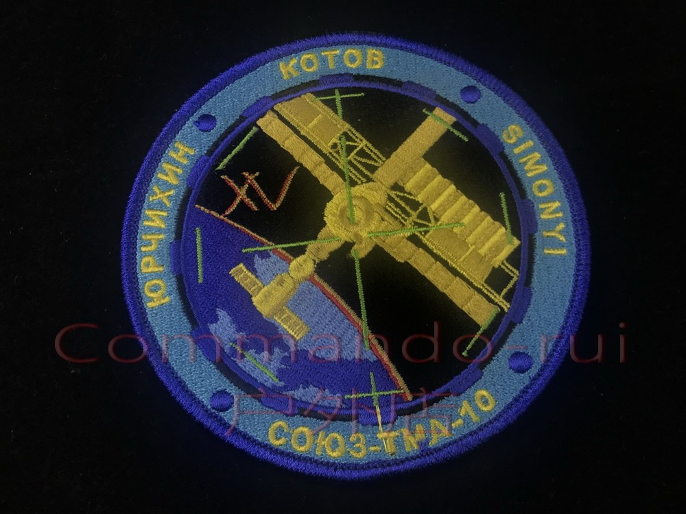 Roscosmos RKA Soyuz rocket spacecraft Союз ТМА-10 mission badge