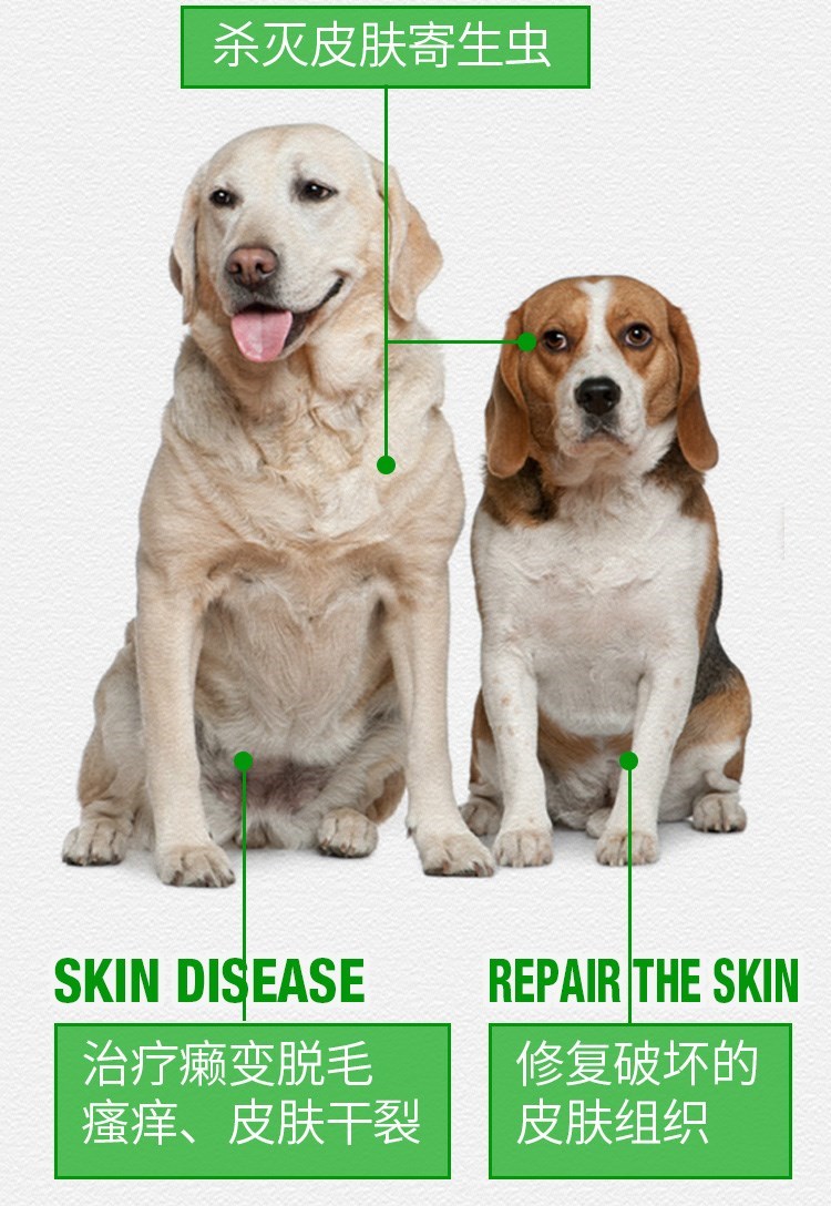 贝斯 蚤 蚤 虫虫 Ngoài bọ chét tẩy giun trong ống nghiệm cung cấp sử dụng bên ngoài - Cat / Dog Medical Supplies 	đầu kim tiêm thú y	