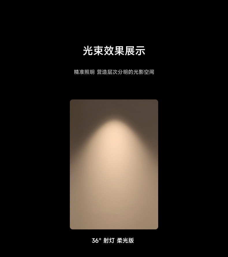 包豪斯不锈钢射灯嵌入式银色全光谱防眩中古工业风天花无主灯智能 图文详情 18