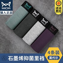 Cat people mens underwear modal cotton graphene breathable boxer shorts boys sports boxer shorts