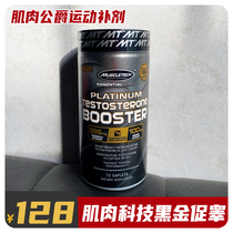 Muscle Technology Pro Testosterone Fitness Male Hormone Replacement Testosterone Non Creatine Protein Powder Zinc Magnesium Pro Testicular Capsule