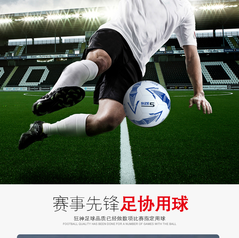 Ballon de foot - Ref 6641 Image 14