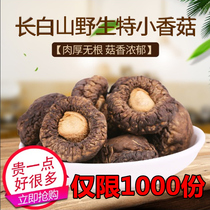 Changbai Mountain Wild Extra Small Shiitake Mushroom 250g Dry Goods Northeast Bswood Mushroom New Pearl Mushroom Mushroom