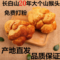 Northeast Changbai Mountain monkey head mushroom dry goods new 500g can play stomach powder breakfast paste semi-wild premium grade pure mushroom
