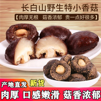 Changbai Mountain wild small mushroom dry goods extra small 500g Super northeast basswood mushroom New Pearl Mushroom Mushroom mushroom