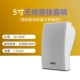 5 -INCH Wireless Wall Sound Sound