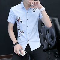 302 дня синий