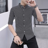 Летняя трендовая рубашка для отдыха, облегающий крой, в корейском стиле