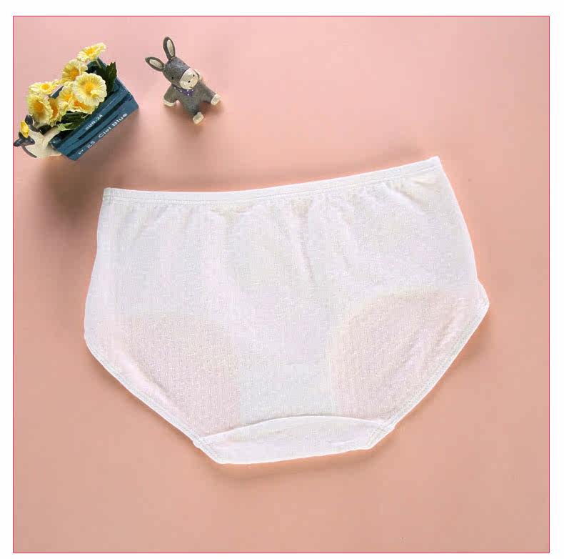 Slip jeune HWANWI N0090 en coton - Ref 645671 Image 15