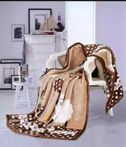Raschel blanket quilt thickened winter double single student dormitory flannel coral velvet autumn blanket men and women