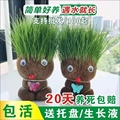 四季花卉生活馆