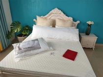 Taifeng Home Spinning Micro-defective Special Pillow Core 48*74 General Adult Pillow Single Pillow Double Pillow