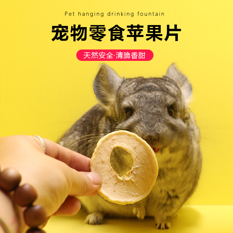 (28 choose 4) Totoro rabbit guinea pig snack red Fuji nutrition apple dried slice hamster food Dutch pig