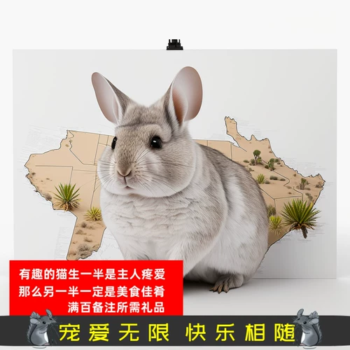 【Подарок】 Старый гостевой подарок