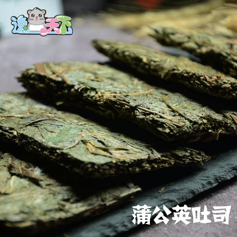 69 Dragon Cat Rabbit Small Favorite Boutique Dandelion Toast summer stocked snacks 12 gr-pack