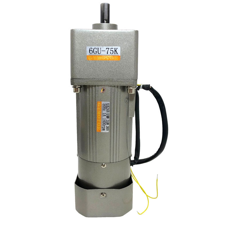 250W vertical AC asynchronous gear motor three-phase 380V fixed speed motor single-phase 220V brake motor