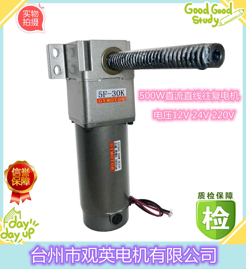 View Mile 500W DC Straight to-back motor with carbon brush horizontal vertical lifting deceleration motor 12V24V220V