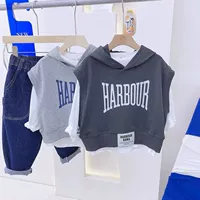 Хлопковый детский модный лонгслив, осенний комплект для мальчиков с капюшоном, толстовка, в корейском стиле