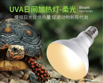 Climbing pet ciliary corner palace guard giant monster uva heating bulb Lizard insulation heating New product recommendation reptizoo