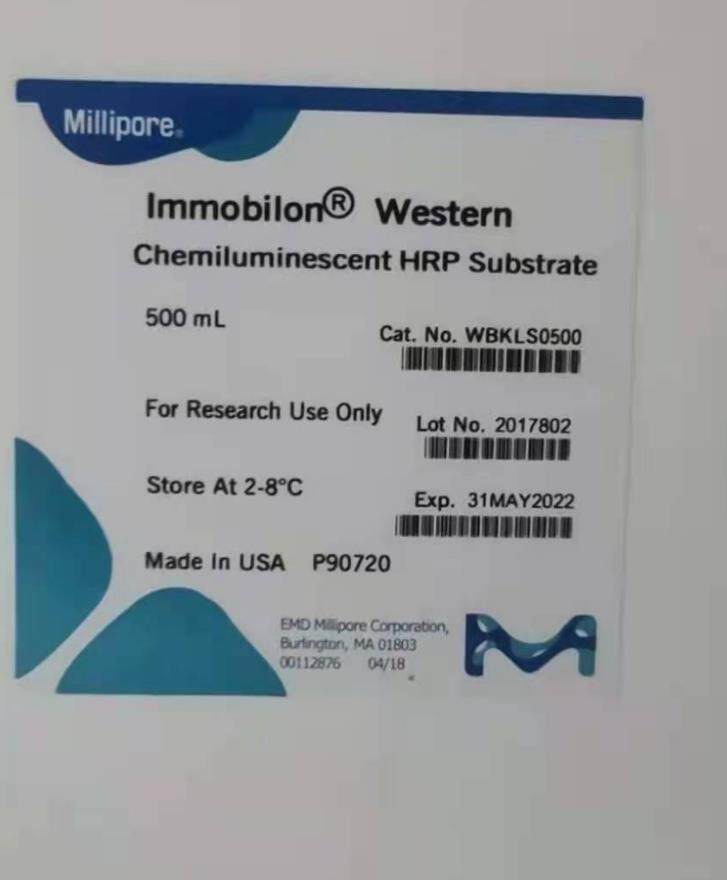 默克Millipore密理博 (ECL底物发光液)WBKLS0100 WBKLS0500 原装