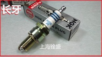 NGK Platinum Iridium Motorcycle Spark plug 14 cm long teeth Biagho 80 Japanese original