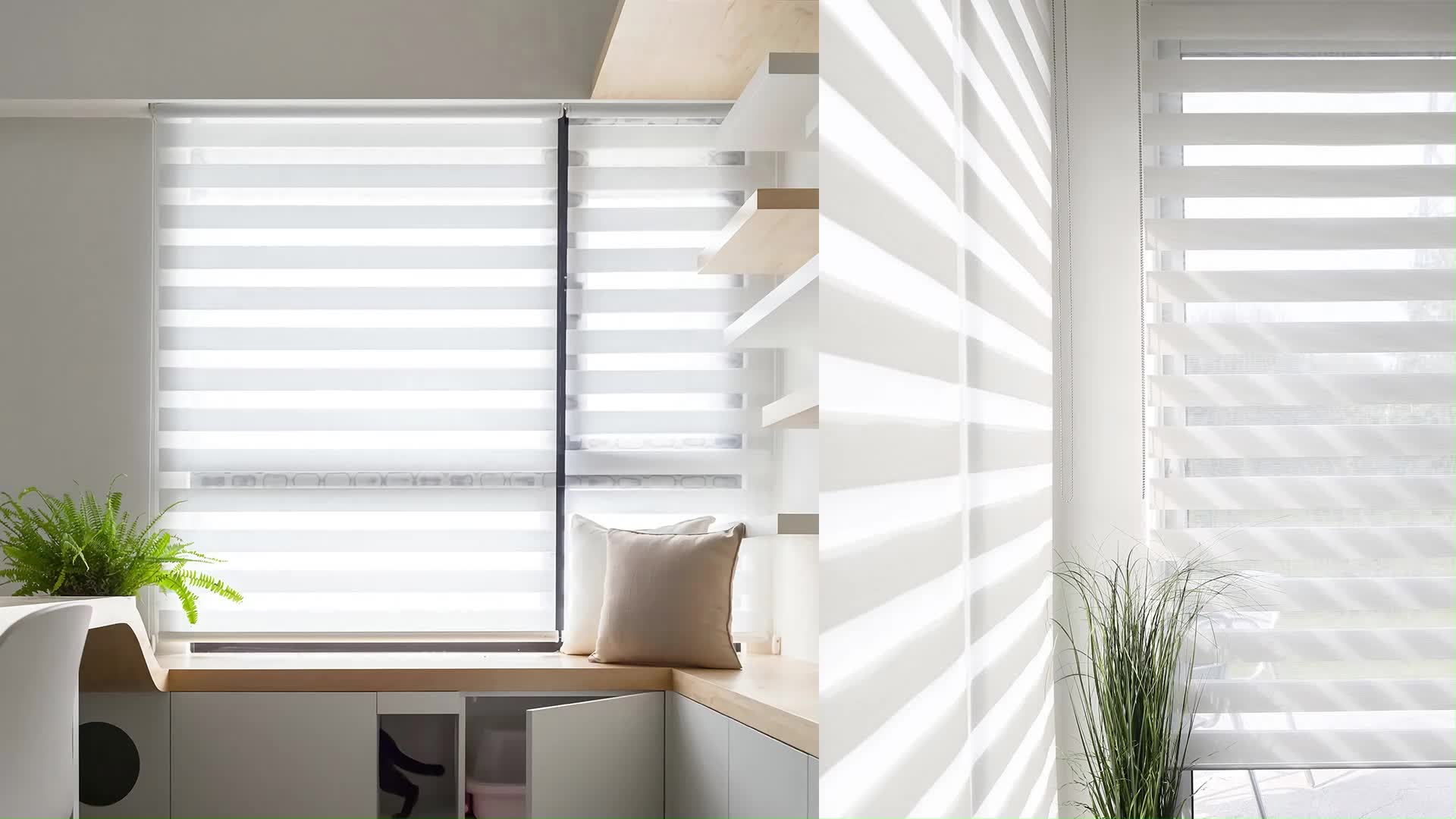 Day And Night Zebra Blinds Motorized Remote Control Roller Zebra Custom