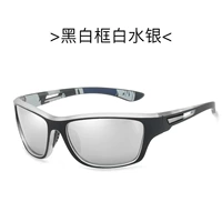 Черно-белая рамка с белой ртутью [поляризация без степени]