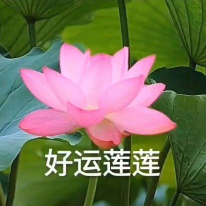 快稳汽车保养的LOGO